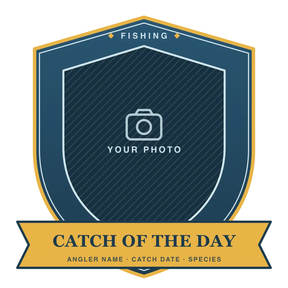 Catch of the Day design