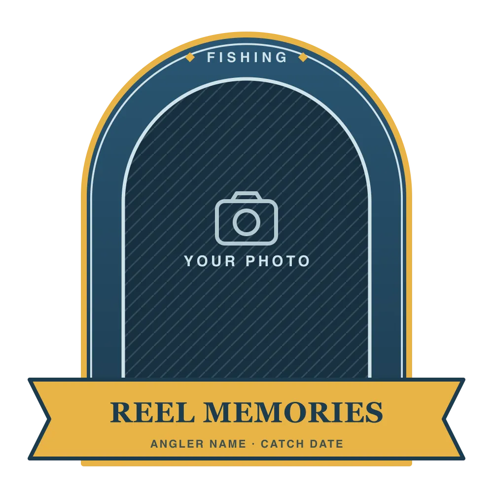 Reel Memories design